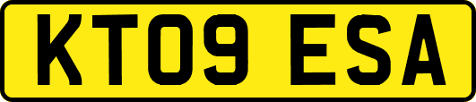 KT09ESA