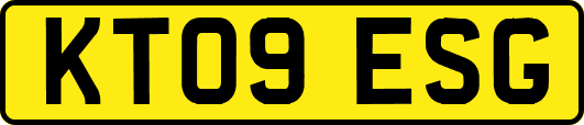 KT09ESG