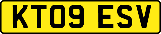 KT09ESV