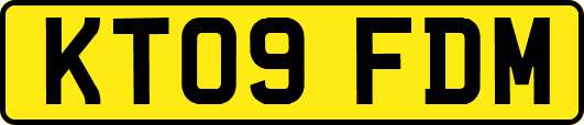 KT09FDM