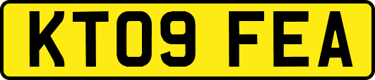 KT09FEA
