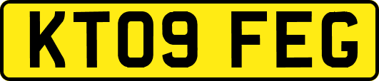 KT09FEG