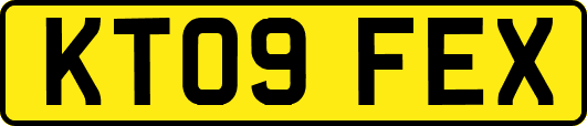 KT09FEX