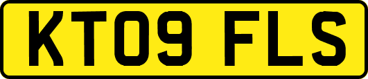 KT09FLS