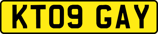 KT09GAY