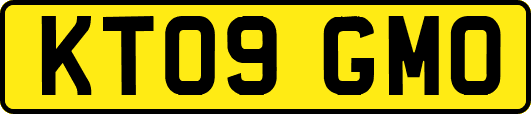 KT09GMO