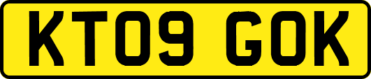 KT09GOK