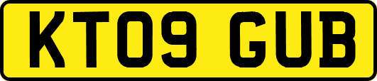KT09GUB