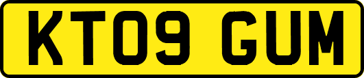 KT09GUM