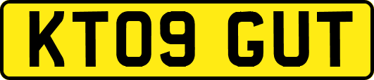 KT09GUT
