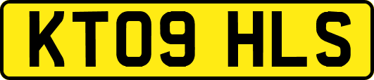 KT09HLS