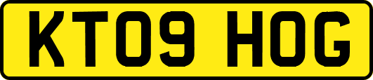 KT09HOG