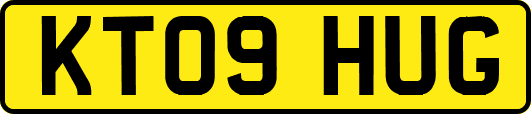 KT09HUG