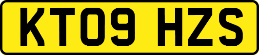 KT09HZS