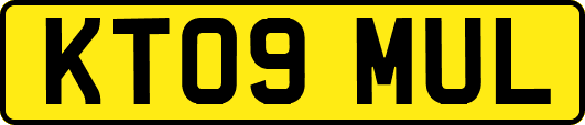 KT09MUL