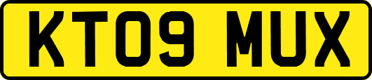 KT09MUX