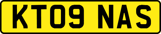 KT09NAS