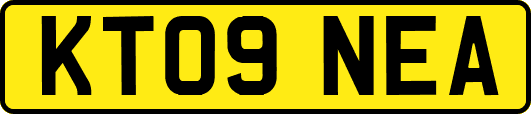 KT09NEA
