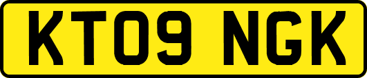 KT09NGK