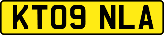KT09NLA