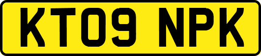 KT09NPK
