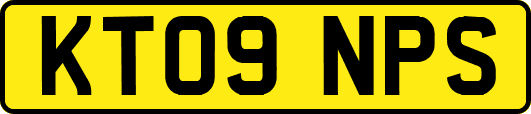KT09NPS