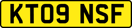 KT09NSF