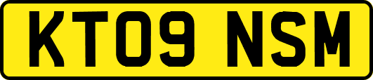 KT09NSM