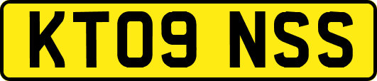 KT09NSS