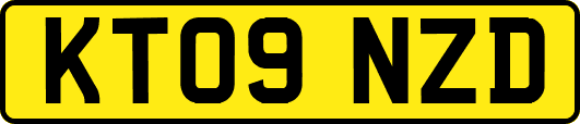 KT09NZD