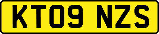 KT09NZS