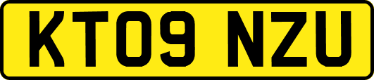 KT09NZU