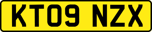 KT09NZX