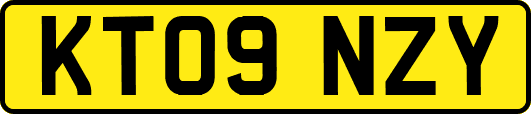 KT09NZY