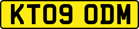 KT09ODM