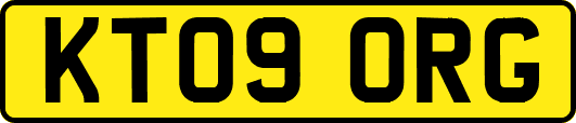 KT09ORG