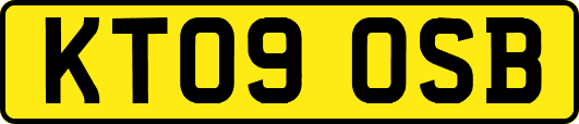 KT09OSB