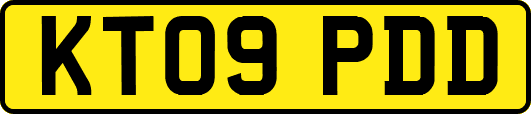 KT09PDD