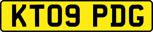 KT09PDG