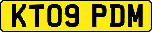 KT09PDM