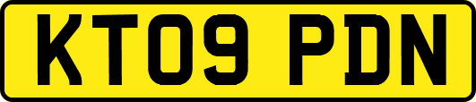 KT09PDN