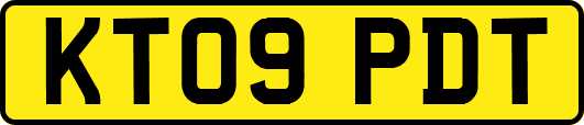 KT09PDT