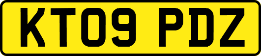 KT09PDZ
