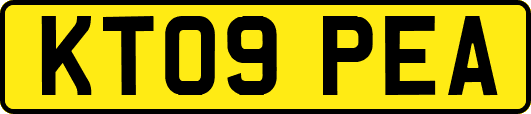 KT09PEA
