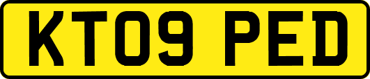 KT09PED