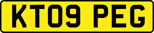 KT09PEG