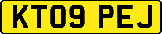 KT09PEJ