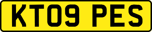 KT09PES