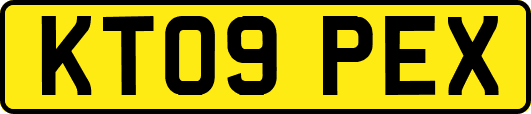 KT09PEX