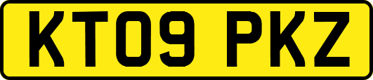 KT09PKZ